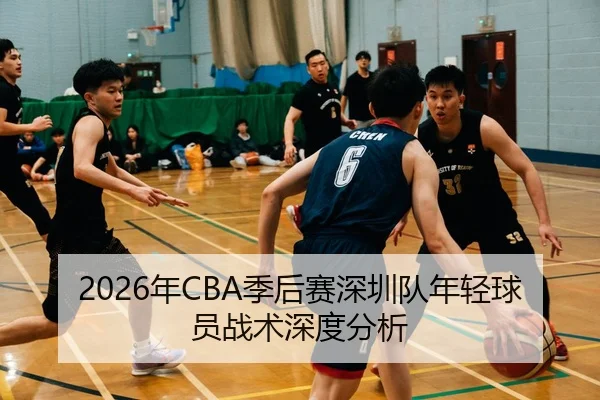 2026年CBA季后赛深圳队年轻球员战术深度分析