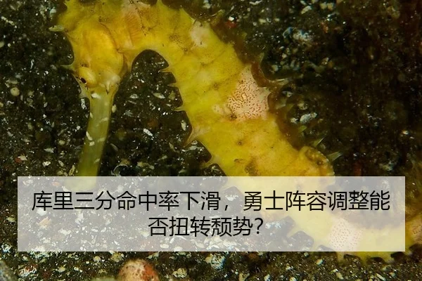 库里三分命中率下滑，勇士阵容调整能否扭转颓势？