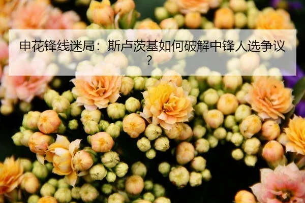 申花锋线迷局：斯卢茨基如何破解中锋人选争议？
