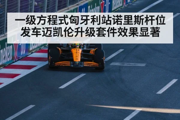 一级方程式匈牙利站诺里斯杆位发车迈凯伦升级套件效果显著